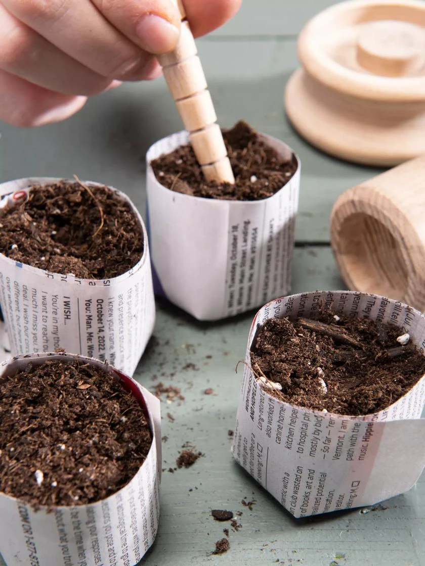 Organic Seed Starting Mix, 6 Quarts 4 Organic Seed Starting Mix, 6 Quarts - Image 2