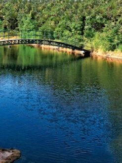 Aquasphere Pond Cleaners -Garden Care Store 37425 001ed 1