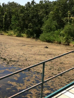 Blast, 2,500 Gallon, 5 Packets 9 Blast, 2,500 Gallon, 5 Packets -Garden Care Store 37425 001v 1 1