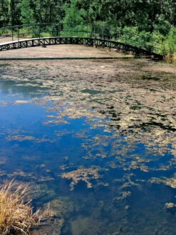 Aquasphere Pond Cleaners -Garden Care Store 37425 002ed 1