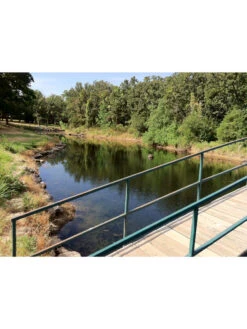 Blast, 125,000 Gallon, 12 Packets -Garden Care Store 37425 002v 1