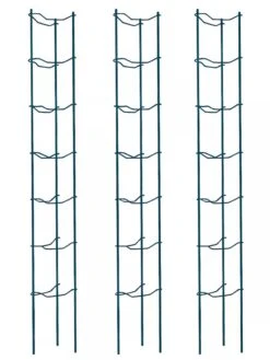 Tomato Ladders, Set Of 3 -Garden Care Store 38184 002E psd