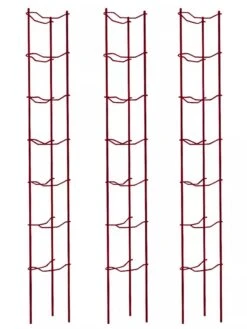 Tomato Ladders, Set Of 3 -Garden Care Store 38185 002E psd