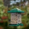 Easy View Squirrel-Proof Birdfeeder -Garden Care Store 38356 01V tif