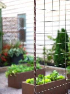 Jardin Rose Arch 10 Jardin Rose Arch -Garden Care Store 38690 9948 tif