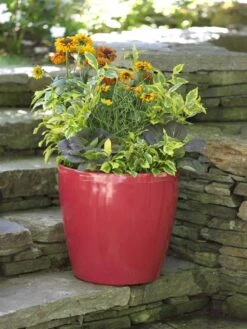 Viva Round Self-Watering Rolling Planter, 17.25” Diameter 11 Viva Round Self-Watering Rolling Planter, 17.25” Diameter -Garden Care Store 39326 046 tif