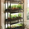 3-Tier Sunlite® Garden 1 3-Tier Sunlite® Garden -Garden Care Store 39357 004 grow lights with three shelves large tif