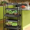 Compact 2-Tier SunLite® Garden 1 Compact 2-Tier SunLite® Garden -Garden Care Store 39414 005 grow lights with two shelves small tif