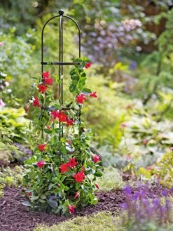 Essex Round Trellises -Garden Care Store 39544 2267 tif