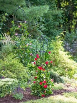 Essex Round Trellises -Garden Care Store 39545 2286 tif