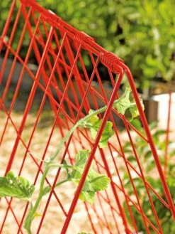 Deluxe Cucumber Trellis -Garden Care Store 39806 542 tif
