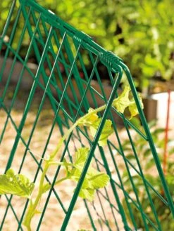 Deluxe Cucumber Trellis -Garden Care Store 39806 GR edit tif