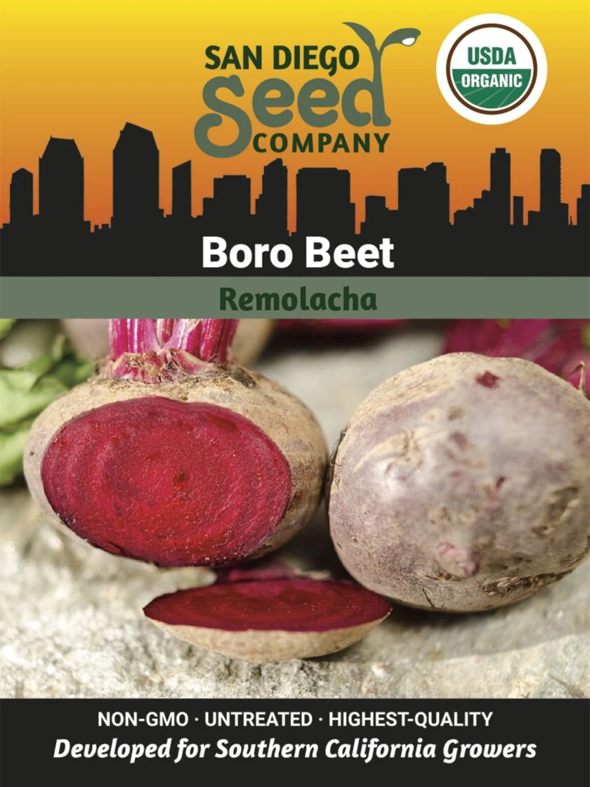 Beet, Boro Organic Seeds 3 Beet, Boro Organic Seeds