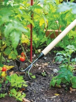 Gardener's Lifetime Long-Handled Double Tool 9 Gardener's Lifetime Long-Handled Double Tool -Garden Care Store 3 4 crop 8592107 2460 tif
