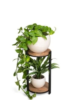 Double Tower Plant Stand -Garden Care Store 3 4 crop 8612683 2252