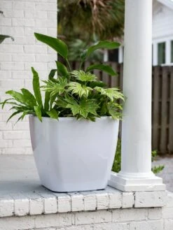 Viva Square Self-Watering Rolling Planter, 20" Diameter, Set Of 2 -Garden Care Store 3 4 crop 8612930 0033 tif