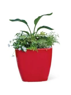 Viva Square Self-Watering Rolling Planter, 20" Diameter, Set Of 2 -Garden Care Store 3 4 crop 8612930 0037 tif