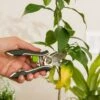 Houseplant Pruner -Garden Care Store 3 4 crop 8612961 0040 houseplant pruner