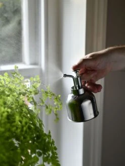 Indoor Plant Mister -Garden Care Store 3 4 crop 8612962 02V tif