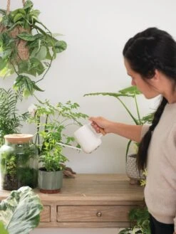 Pinpoint Indoor Watering Can -Garden Care Store 3 4 crop 8612963 3774