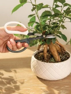 Japanese Pruning Scisssors -Garden Care Store 3 4 crop 8612968 0087