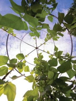 Jardin Tower -Garden Care Store 3 4 crop 8612997 0033