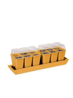 Gardener's Best® Humidity Dome, Set Of 2 -Garden Care Store 3 4 crop 8613067 5879 tif