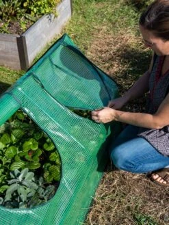 Multi Cloche -Garden Care Store 3 4 crop 8613213 0245