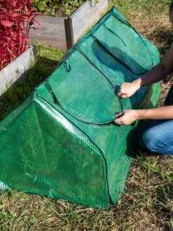 Multi Cloche -Garden Care Store 3 4 crop 8613213 0250