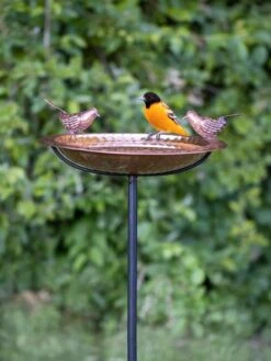 Pure Copper Bird Bath With Two Copper Birds And Multipronged Garden Pole -Garden Care Store 3 4 crop 8613378 02v