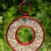 Circle Fly-Thru™ Bird Feeder With A Ruby Red Finish -Garden Care Store 3 4 crop 8613383 02v circle fly thru bird feeder with a ruby red finish