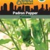 Pepper, Padron Organic Seeds 1 Pepper, Padron Organic Seeds -Garden Care Store 3 4 crop 87466 8613547 Pepper Padron SDSC