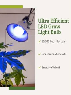 Miracle LED® Grow Light Bulb, Blue -Garden Care Store 3 4 crop Miracle Bulb Blue 1