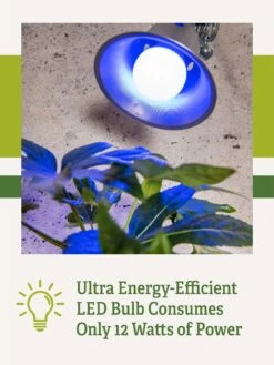 Miracle LED® Grow Light Bulb, Blue -Garden Care Store 3 4 crop Miracle Bulb Blue 2