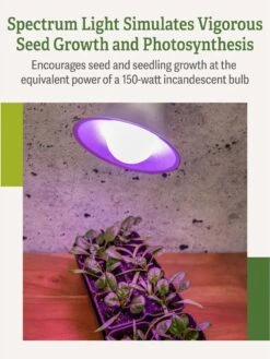 Miracle LED® Grow Light Bulb, Red And Blue -Garden Care Store 3 4 crop Miracle Bulb RB 3