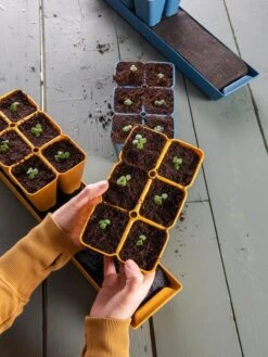 Gardener's Best® XL Seed Starting Kit -Garden Care Store 40 135 6186