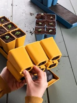 Gardener's Best® XL Seed Starting Kit -Garden Care Store 40 135 6188