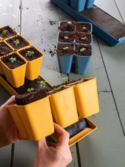 Coco Coir Seed Starting Mix -Garden Care Store 40 135 6192 1