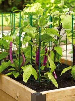 Pepper And Eggplant Stakes, Set Of 3 -Garden Care Store 40308 2116 tif