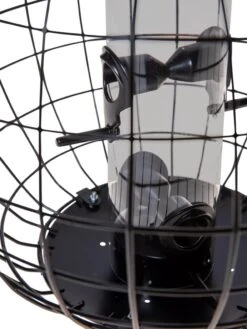 Mixed Seed Globe Cage Feeder 8 Mixed Seed Globe Cage Feeder -Garden Care Store 8586659 6400