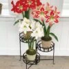 Nesting Triple Pot Stand -Garden Care Store 8586747 6012 tif