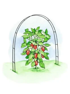 Super Hoops, Set Of 6 9 Super Hoops, Set Of 6 -Garden Care Store 8586835 02S tif