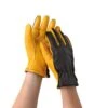 Women's Gold Leaf Dry Touch™ Gloves -Garden Care Store 8586891 007 tif