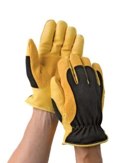 Men's Gold Leaf Winter Touch™ Gloves -Garden Care Store 8586897 012