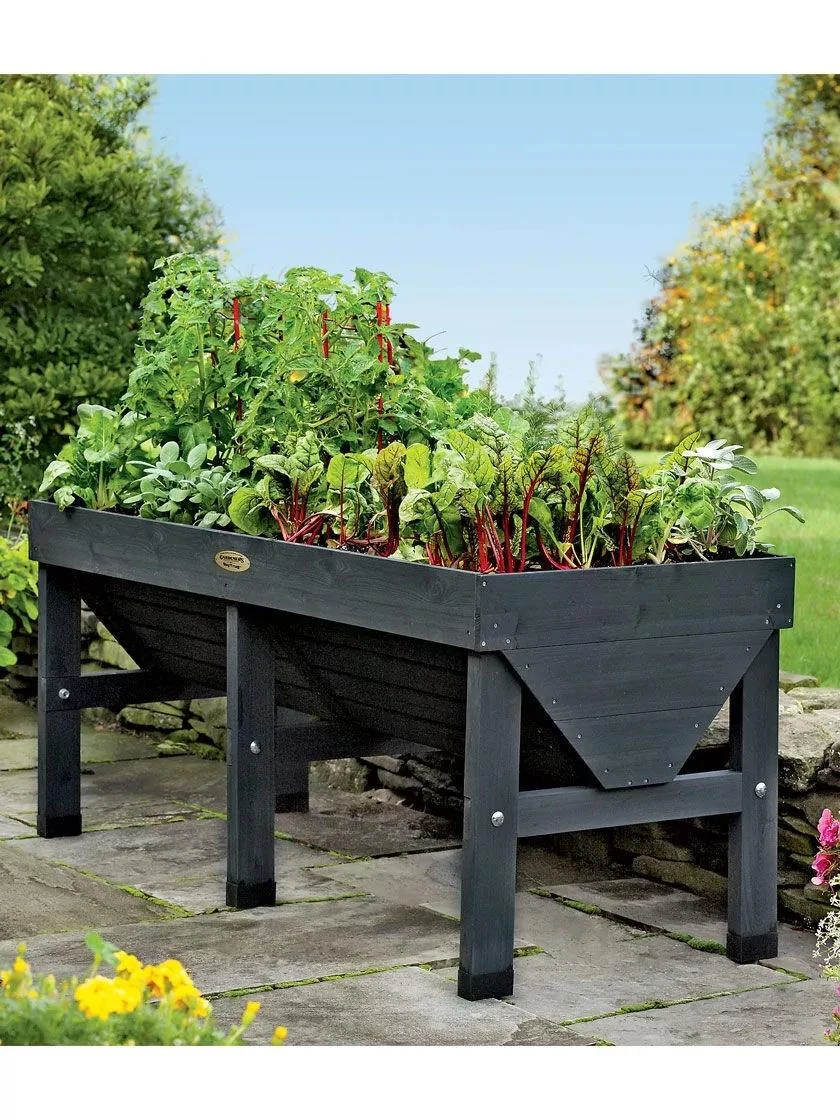 VegTrug® Patio Garden 5 VegTrug® Patio Garden - Image 3