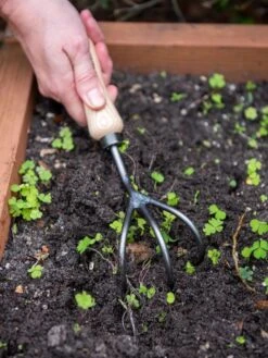 Garden Care Store -Garden Care Store 8586971 3014 tif