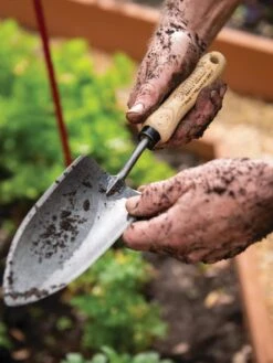 Gardener's Lifetime Trowel 13 Gardener's Lifetime Trowel -Garden Care Store 8586972 3242 tif