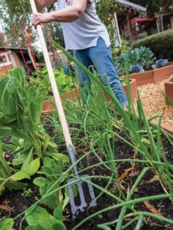 Garden Care Store -Garden Care Store 8586973 2385 tif