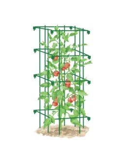 Tomato Cage, Single -Garden Care Store 8587039 TomatoCage GRN tif