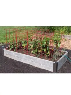 Pepper And Eggplant Cages, Set Of 3 13 Pepper And Eggplant Cages, Set Of 3 -Garden Care Store 8587048 6008 3 4